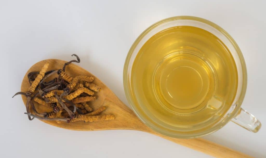 Cordyceps mushroom tea