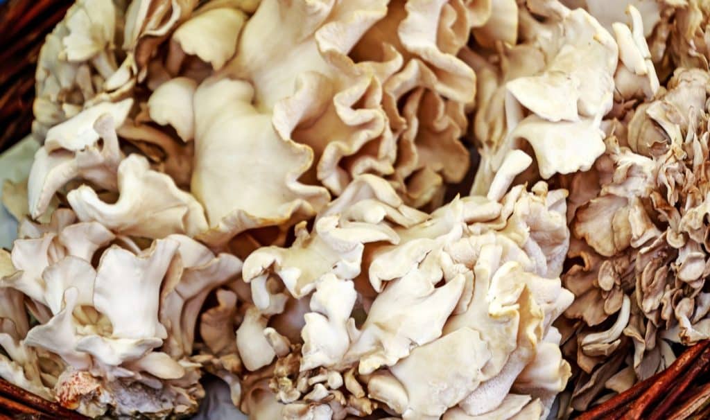 maitake mushrooms at a market