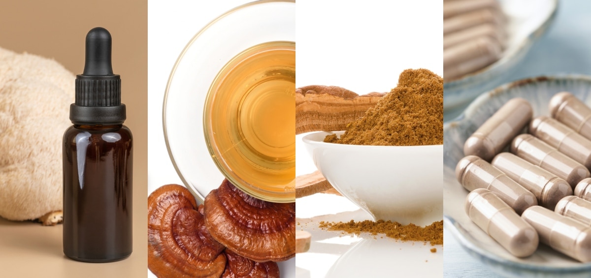 Shiitake Mushroom Extract supplier Yangge Biotech Shiitake Mushroom Extract supplier Yangge Biotech