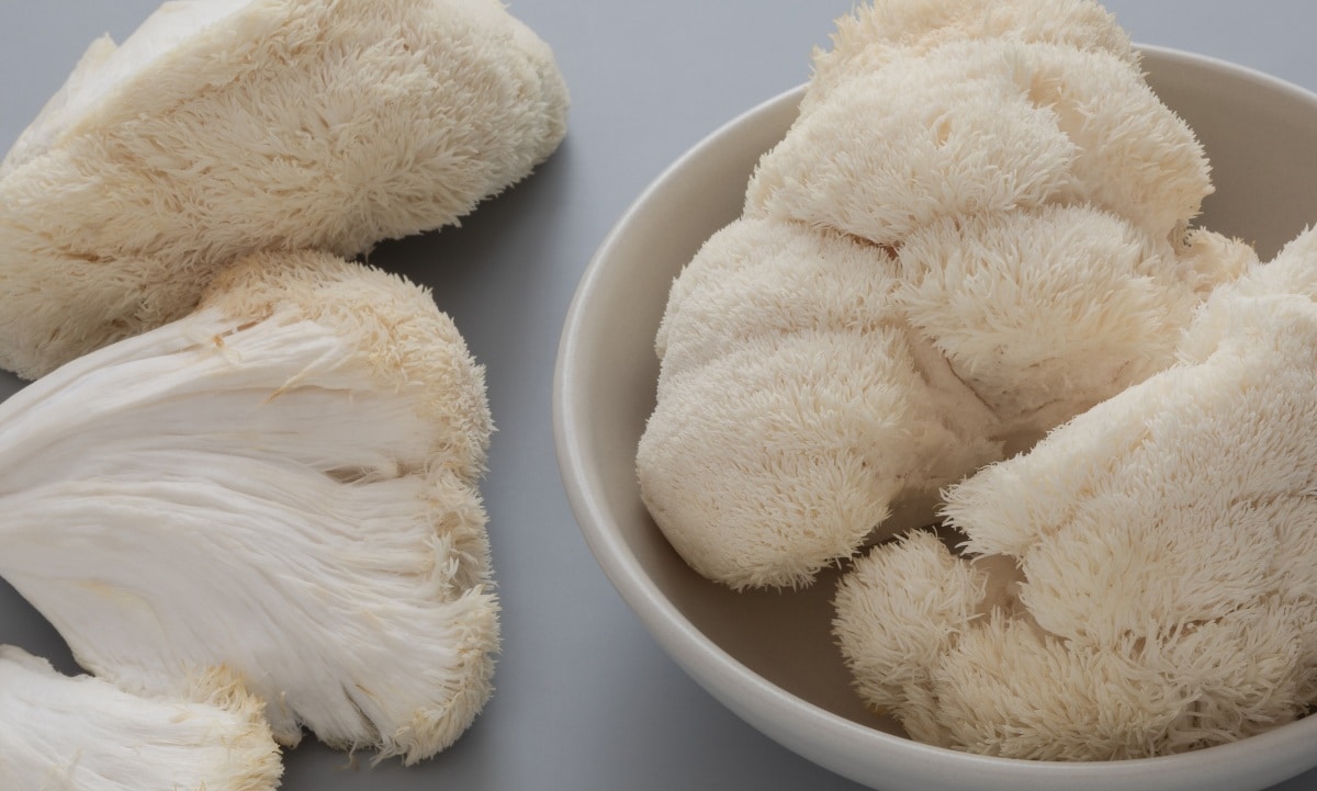 Guide to the 10 Best Lion’s Mane Supplements in the UK GroCycle